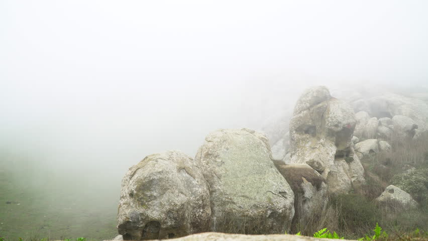 Elephant Rocks near Dillon Beach in Marin County California.  Heavy, wind blown fog.  Limited visibility.  Green fields and ferns.
