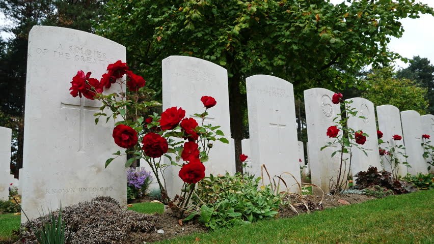 World War One heritage sites in Belgium :  Buttes New British Cemetery, graves and roses closeup view