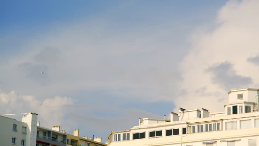White seagulls fly in circles, cloudy day, city rooftops, Marseille cityscape
