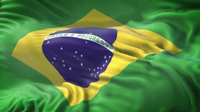 Realistic Flag of Brazil