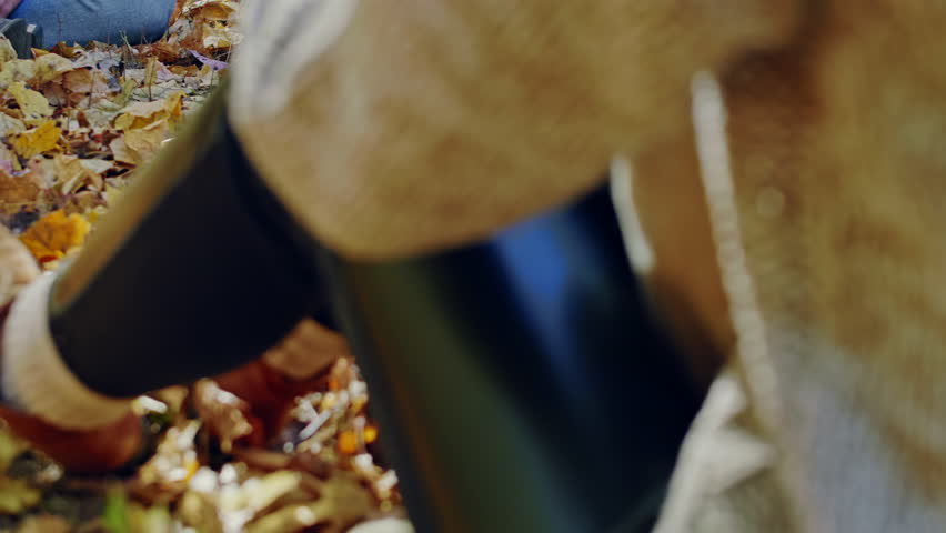 Tilt up shot of a girl taking photo of a guy with a dog on mobile phone in autumn forest