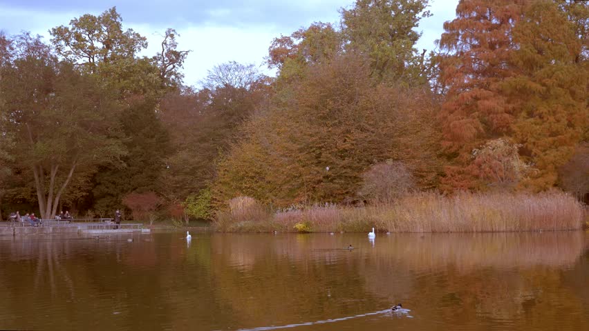 Autumn park on the lake. Germany.