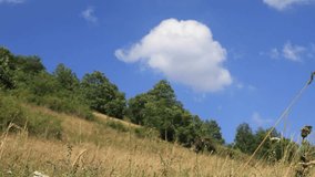 Timelapse of Pyrenean meadow, Aude in Southern France
