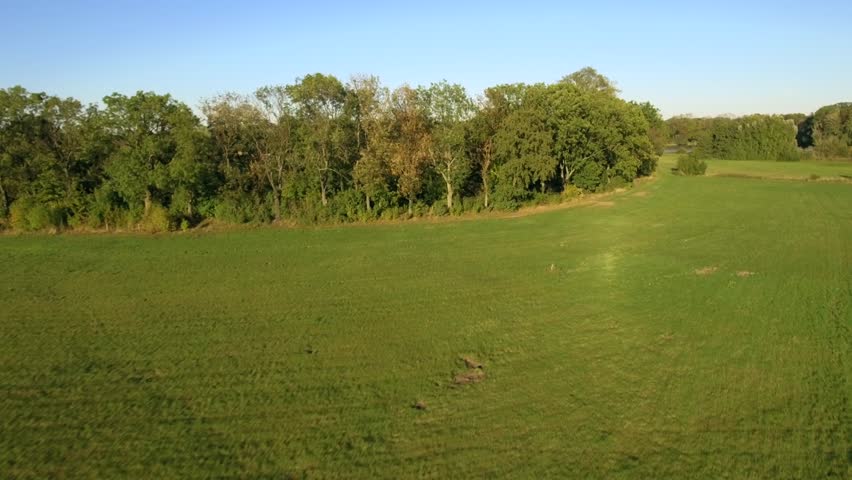 4K. Aerial view of the cleaned field.