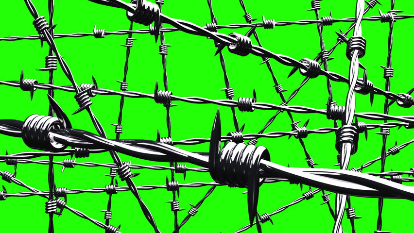 Barbwire on green chroma key. DCG render animation. Royalty-Free Stock Footage #1018926001