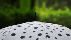 Close up of white and black umbrella raising against raindrops with natural blurred background,hd slow motion. Polka dot umbrella in the rain,risk management concept.