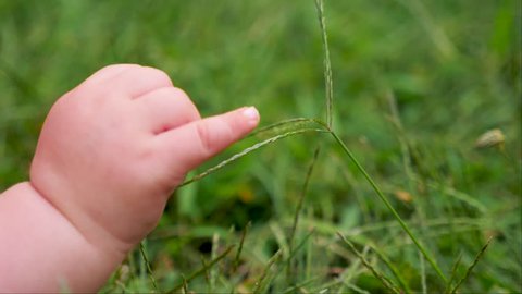 Baby touching green grass. Baby's fingers on the grass. Toddler's arm investigating,,discovering nature