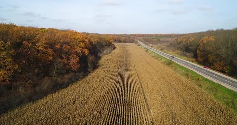 Aerial view of road in autumn forest at sunset near the corn field.