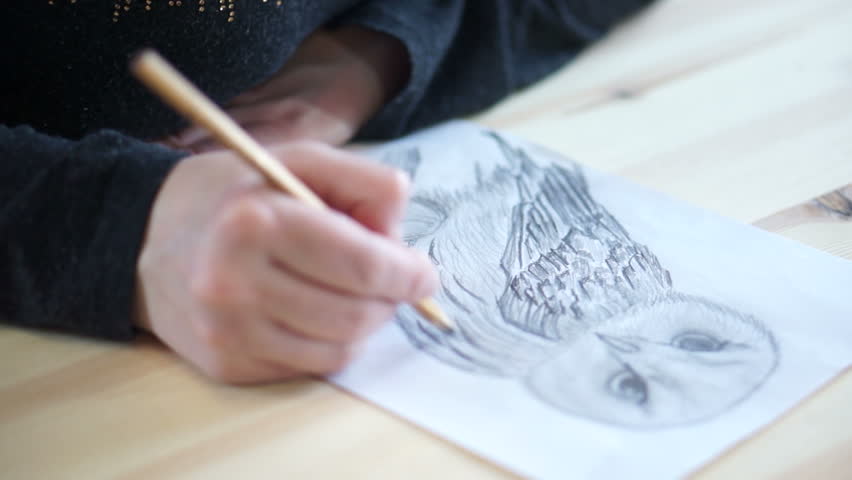 Hand draws the belly of an owl