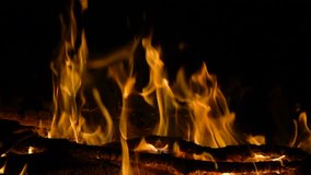Night bonfire slow motion. HD 1080p video clip
