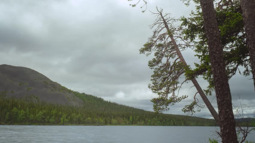 Gray clouds over a forest lake somewhere in the north of Europe