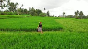 Happy New Year 2019. 4K flying drone video of young woman with santa hat and whiteboard with handwritten text posing among green rice field on Bali island.
