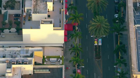 Flying over Rodeo Drive in Los Angeles and palm trees while sun sets. Medium close shot with a RED camera.
