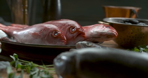 Various types of fresh fish, octopus and muscles arranged on plates and bowls slow motion, in soft lighting. Closeup shot 4k Phantom Flex.