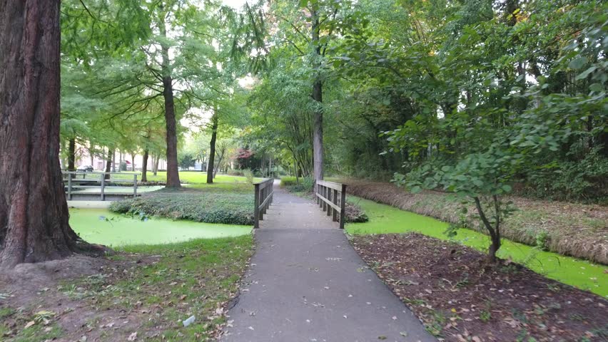 Small Woods bridge in The Park 