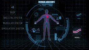 Futuristic Interface of Human Anatomy Systems. The motion graphics video represents male body shape, skeleton, muscles, circulatory, nervous systems, internal organs, organs icons, high tech elements.