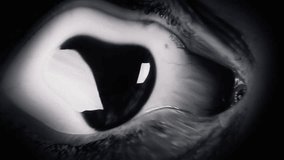 Heavy wave distortion fx: the big eye of a woman, looking at the camera, scared. Film-noir style. Detail macro shot.
 - Powered by Shutterstock - Get 15% off with code: PIKWIZARD15