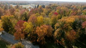 One of a large matching set of 4k autumn footage.  Aerial shot of fall trees in and around a small town in Indiana in late October.