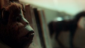 4K Scary monkey toy in front of books. Bible of chimpanzee and dark, horror atmosphere. - Powered by Shutterstock - Get 15% off with code: PIKWIZARD15