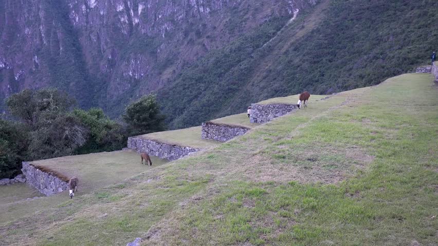 very nice footage of machu piccu landscape in peru, world travel footage