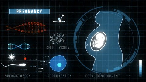 The Futuristic HUD Medicine Pregnancy Screen features nicely animated pregnant belly, fetal development, fertilization, cell division, dna, fertilization, spermatozoon.