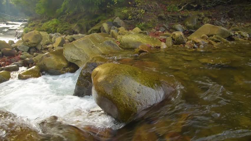 Forest Mountain Stream. Forest River. Mountain River. Water. Cascade Waterfall. Beauty in nature. Landscape. Pure Fresh Water Waterfall In Forest In The Mountains