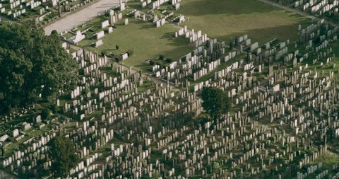 Aerial view of green cemetery in New York during the day under blue skies. Wide shot on 4K RED camera.