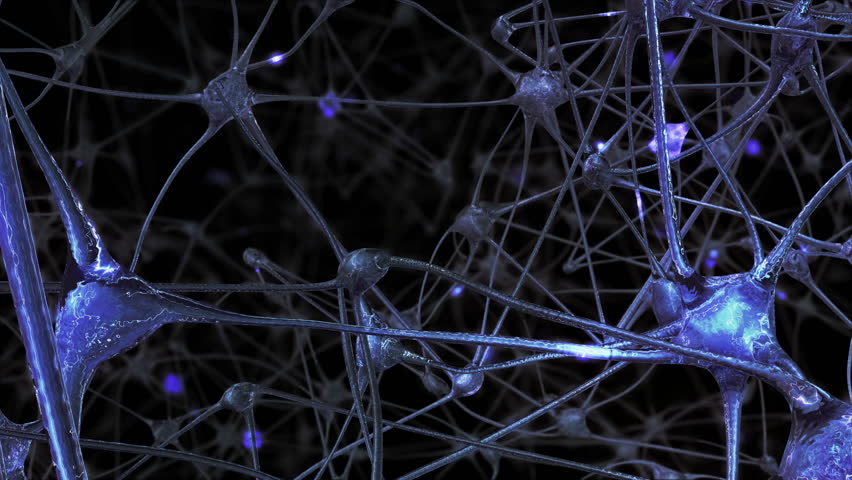 Journey through a network of neuronal cells and synapses in the brain through which electrical impulses and discharges pass Royalty-Free Stock Footage #1019086825