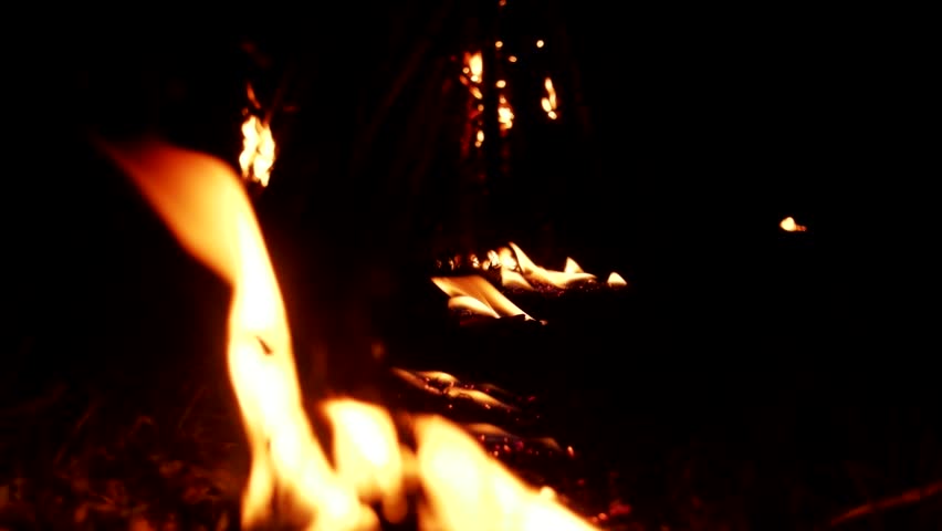 Man sets fire to firewood in night with special ritual of pyromania (fire as element of elements), forest fire. Arsonist, torch and criminal law