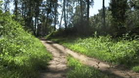 Disabled athlete with prosthetic leg running at the running track in the park - Powered by Shutterstock - Get 15% off with code: PIKWIZARD15