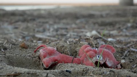 Sediments and dregs cover all the ground on a dried river mouth. The broken toy establishes a mood of gloom and abandonment.