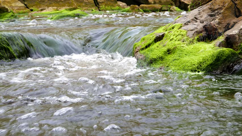 Close View Of Fast Moving Video De Stock Totalmente Libre De Regalias 10191557 Shutterstock