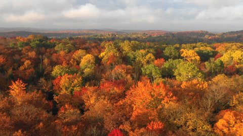 Drone flight over beautiful and colourful fall trees. Epic, romantic light. Ontario, Canada.