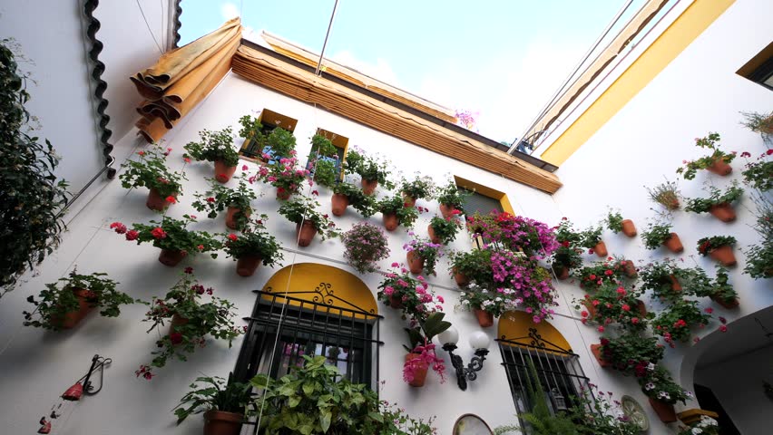 Beautiful patio full of flowers in Cordoba, Spain. Royalty-Free Stock Footage #1019174071
