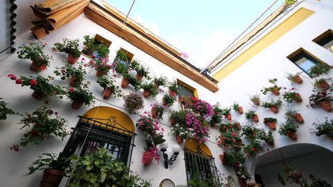Beautiful patio full of flowers in Cordoba, Spain.