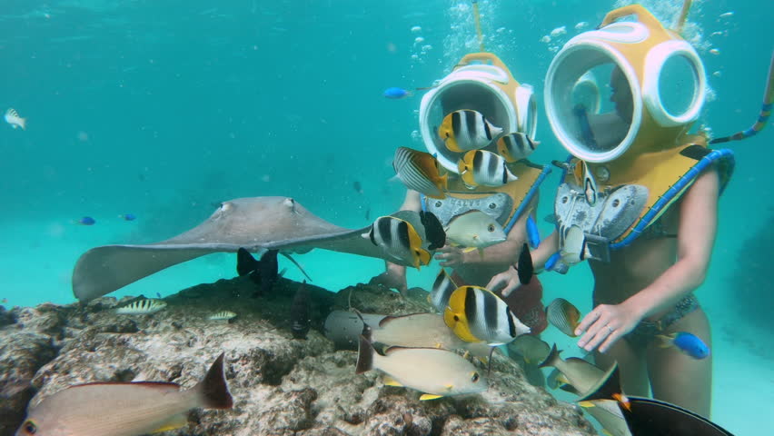 Underwater Couple Helmet Diving Stock Footage Video 100 Royalty Free 1019191477 Shutterstock