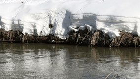 A river flow in winter with piles of snow and dried herbs