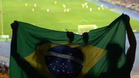 Soccer fans with Brazilian flag jumping in stands, cheering for favorite team
