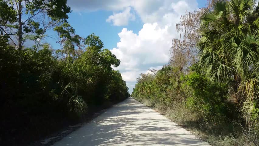 Traveling through the wilderness of the Everglades National Park driving on dirt roads