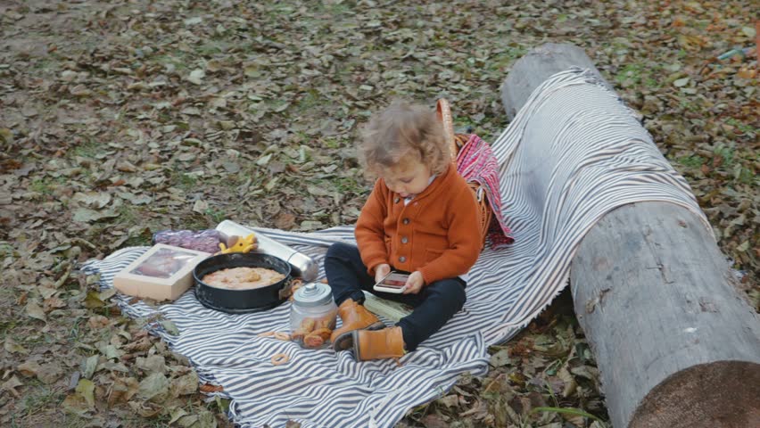 A small, funny child with curly hair plays with the phone on a picnic, he sits on a blanket around the dry foliage in the autumn park