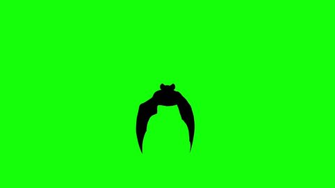 Flying bat on a computer graphic animation. Green screen
