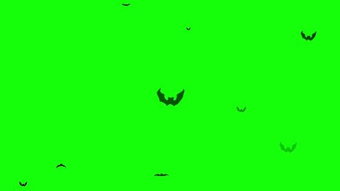 Bats silhouette flying to fill the screen computer animation. Green screen