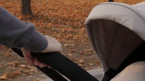 Baby stroller and mother in the park slow motion video