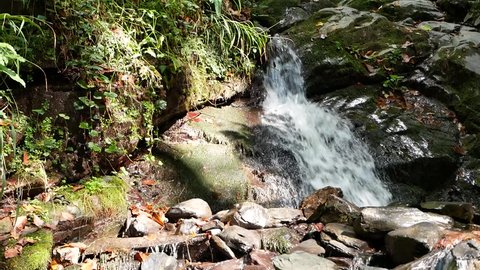 Clean And Fresh Waterfall In Stock Footage Video 100 Royalty Free 9240224 Shutterstock