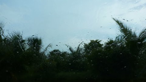 Rain falling in car glass