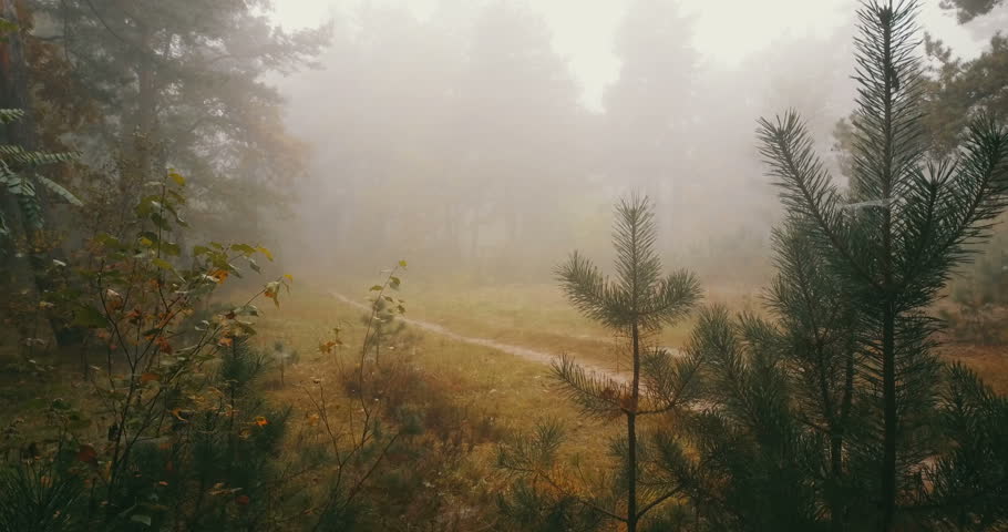 AERIAL Runner running on a gravel country road on a foggy morning