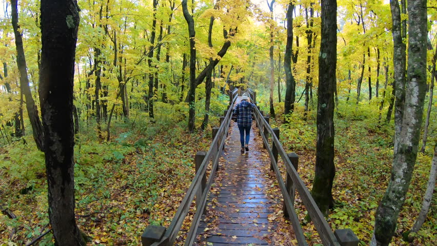 Hiking though colorful autumn woods in Porcupine Mountains on a rainy day