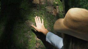 People In Nature Concept: Woman Travelling, Walking In Forest, Touching Tree Trunk. Lifestyle Video. Forest Trail, Botanic Garden With Green Plants. 