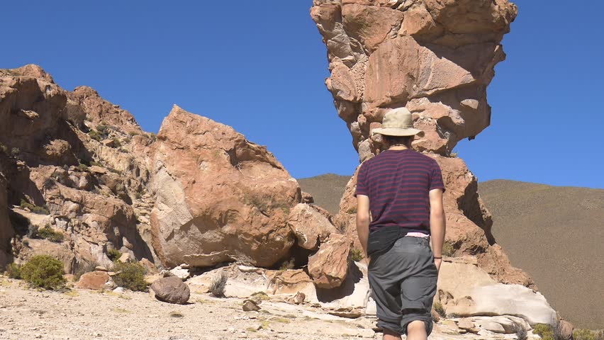 A Visacha walking down a rock, scared by a tourist approaching it.