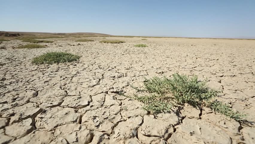 Arid and semi-arid areas in the Salt lake(Tuz Gölü) / Turkey Royalty-Free Stock Footage #1019309176